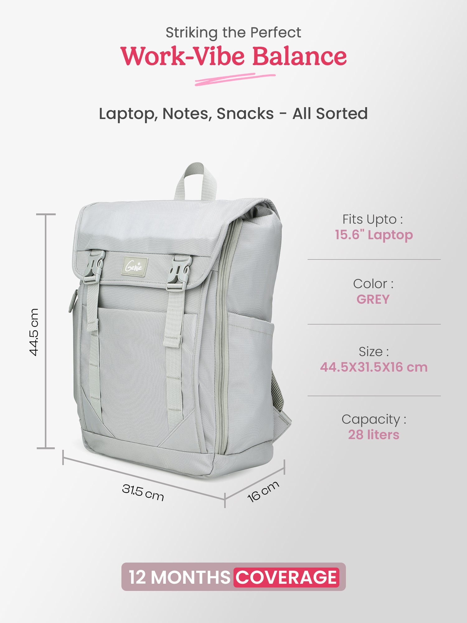 Skye 27L Grey Casual Backpack With Laptop Sleeve