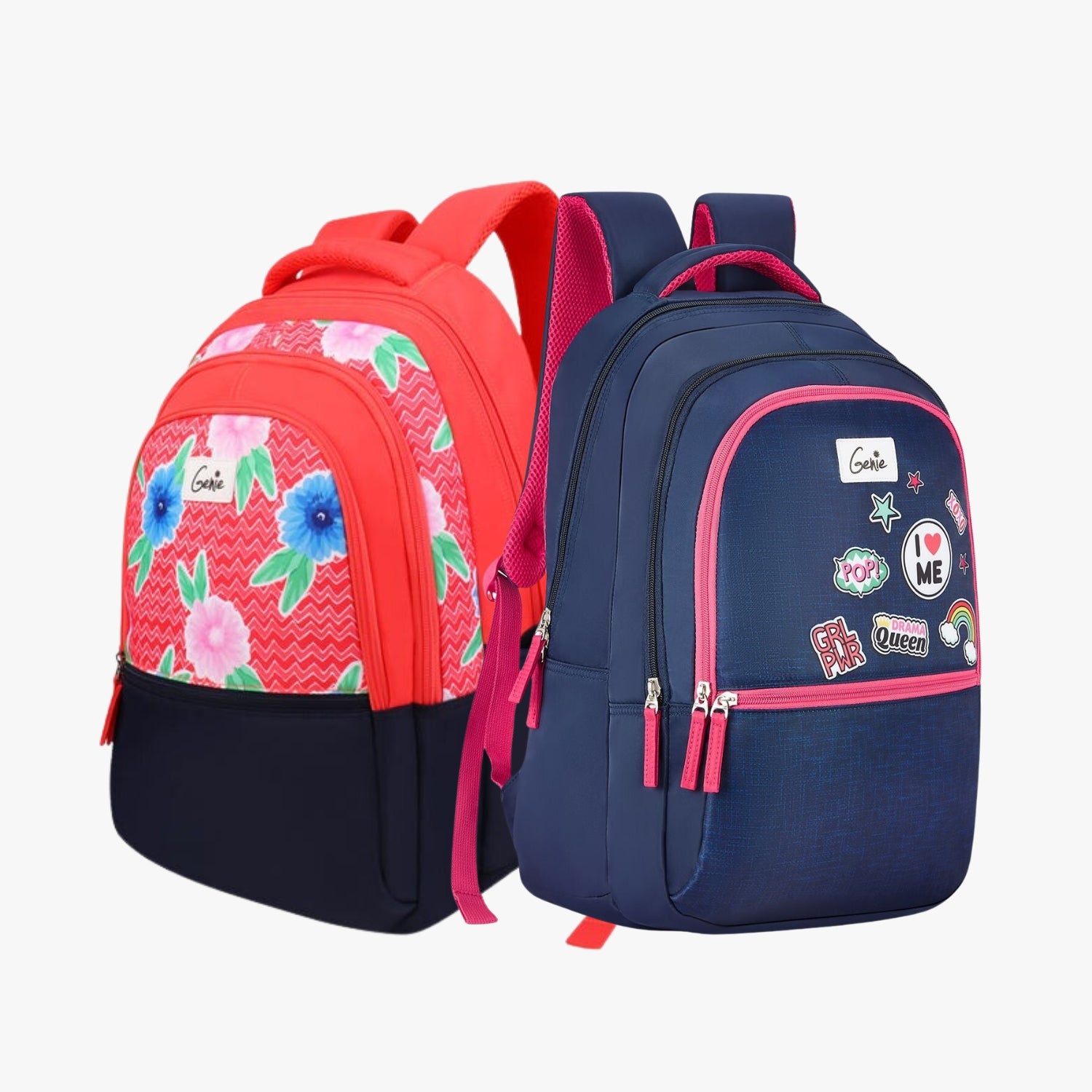 Genie School Backpack and Laptop Backpack Combo