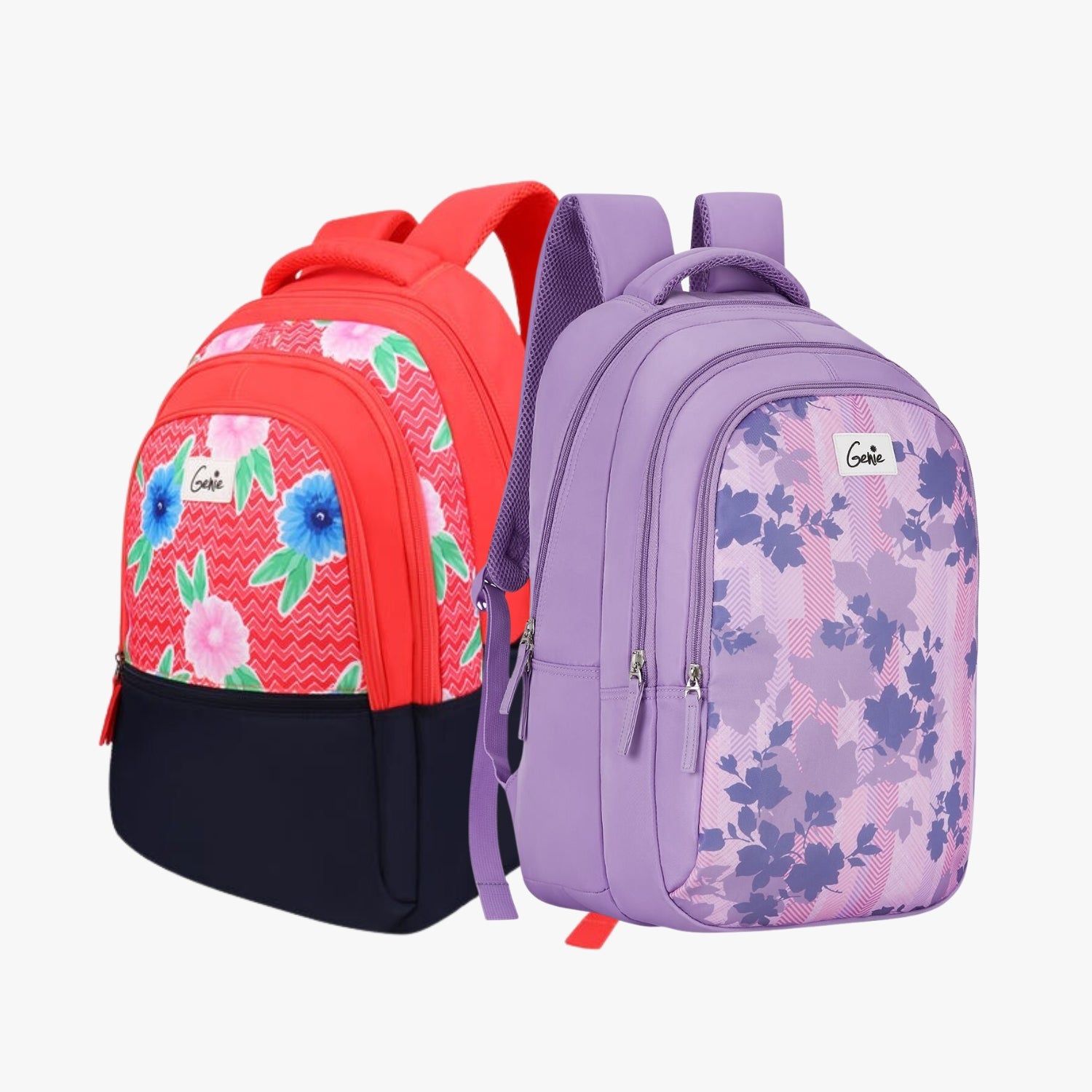 Genie School Backpack and Laptop Backpack Combo