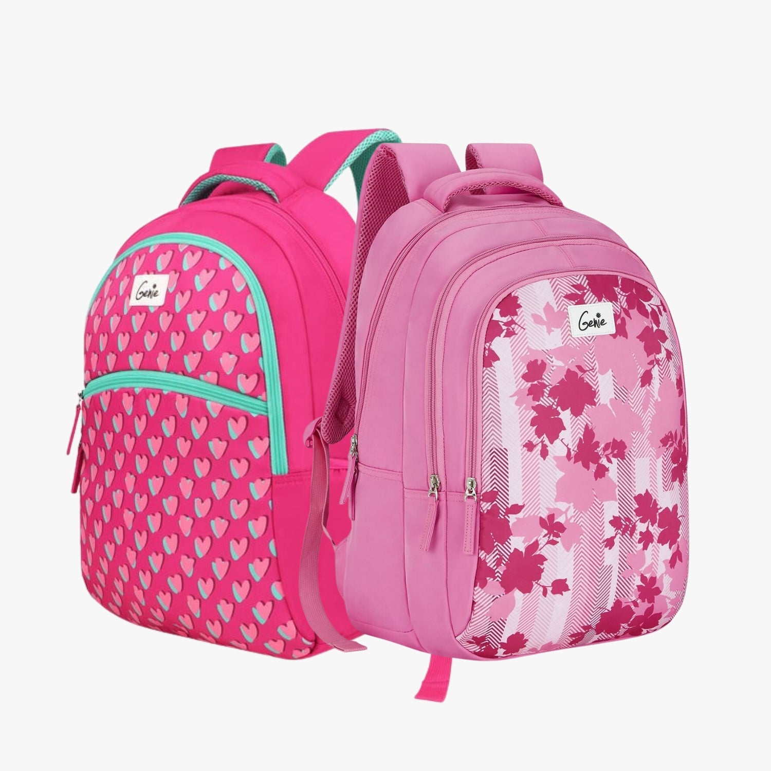 Genie School Backpack and Laptop Backpack Combo