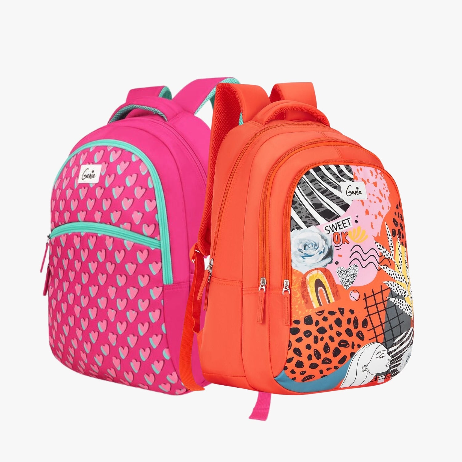 Genie School Backpack and Laptop Backpack Combo