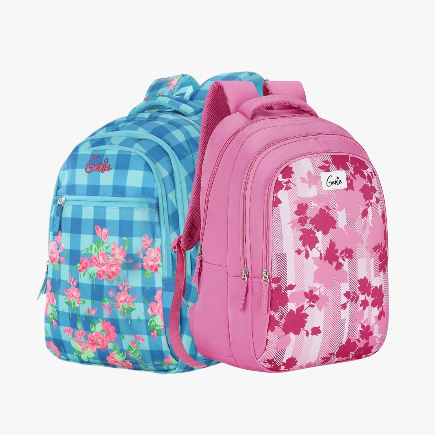 Genie School Backpack and Laptop Backpack Combo