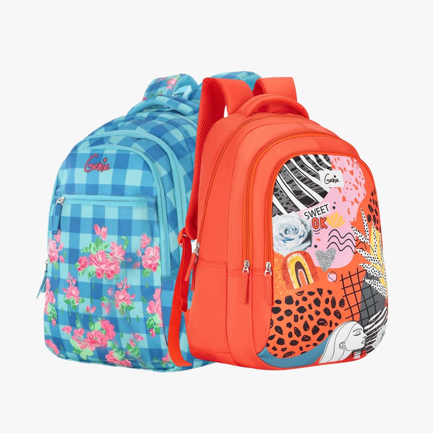 Genie School Backpack and Laptop Backpack Combo