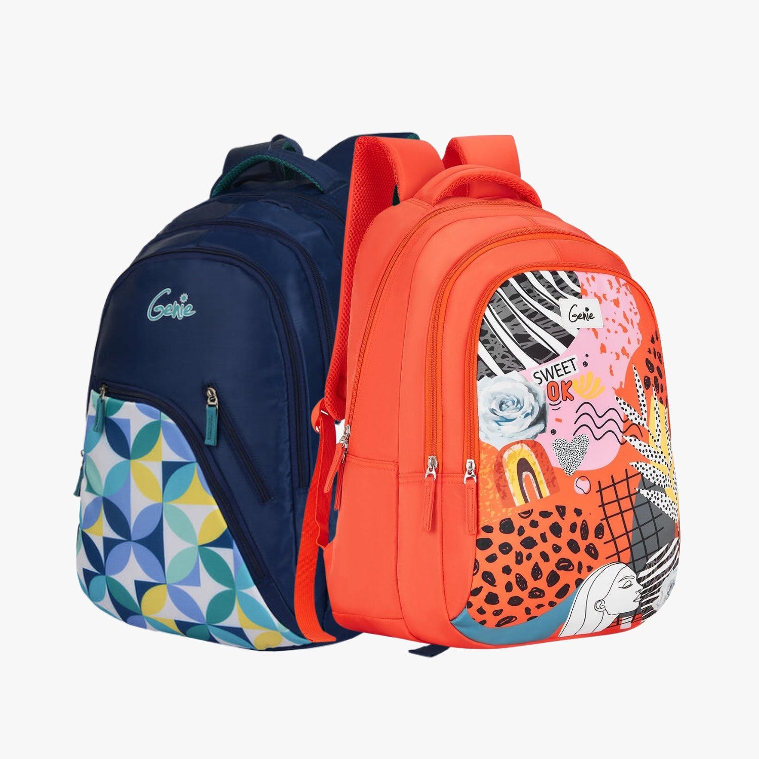 Genie School Backpack and Laptop Backpack Combo