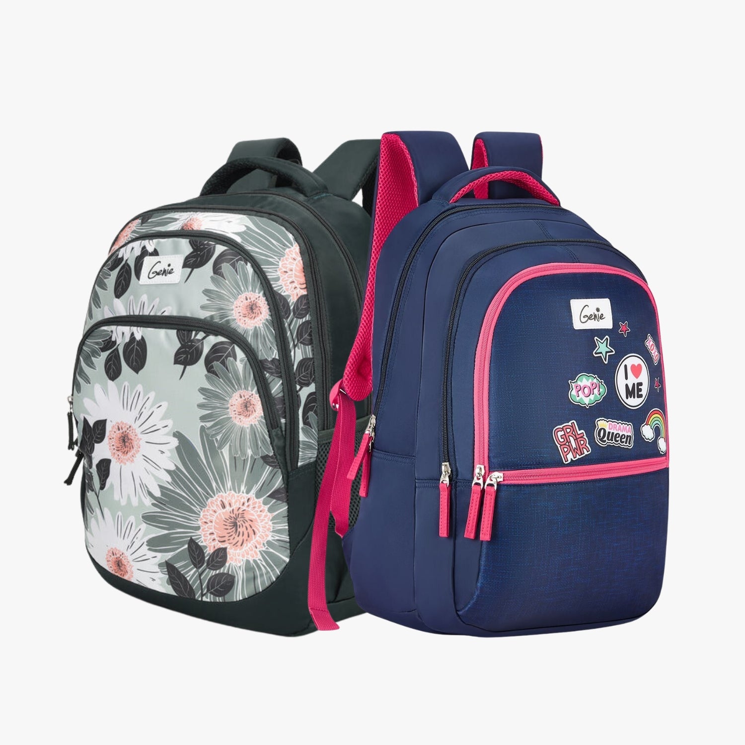 Genie School Backpack and Laptop Backpack Combo