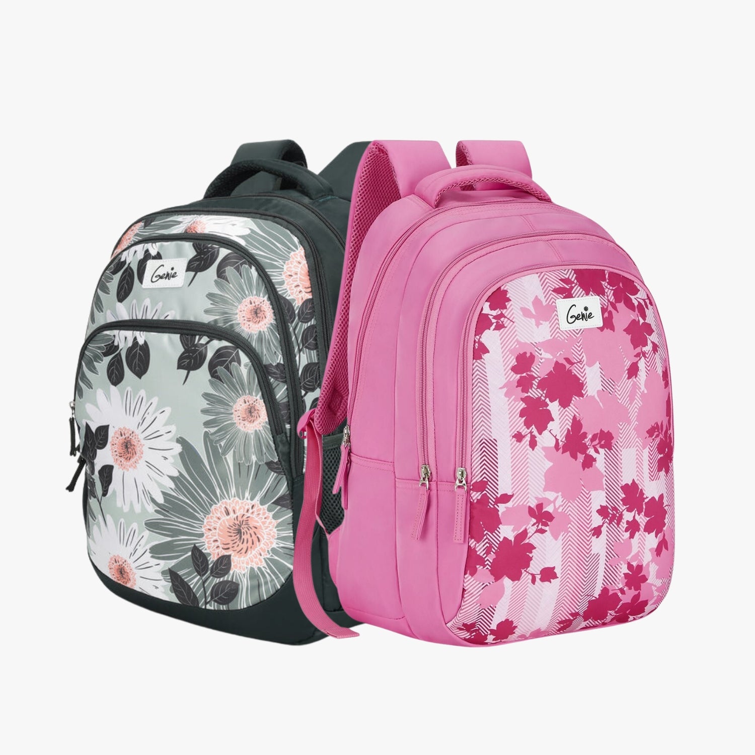 Genie School Backpack and Laptop Backpack Combo