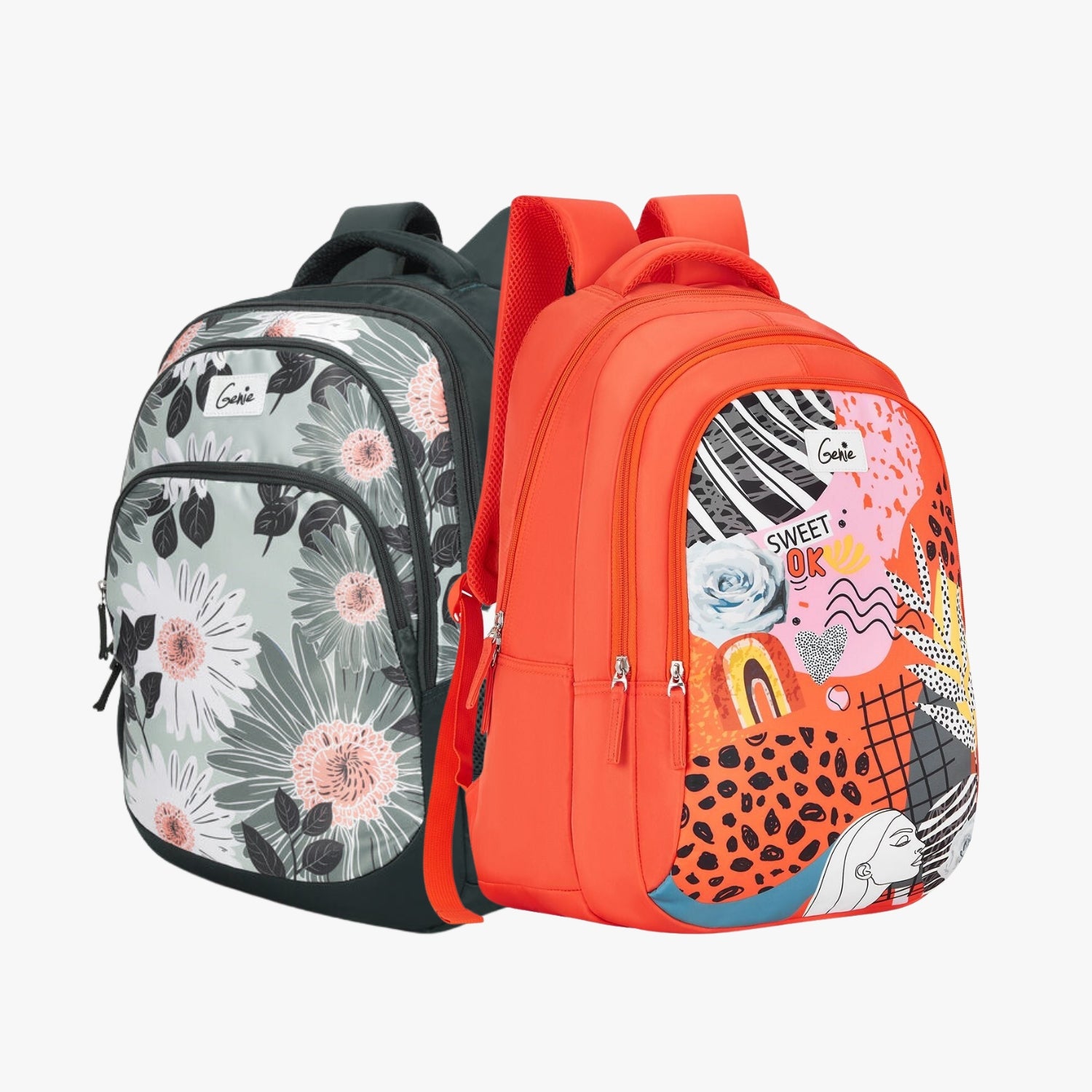 Genie School Backpack and Laptop Backpack Combo