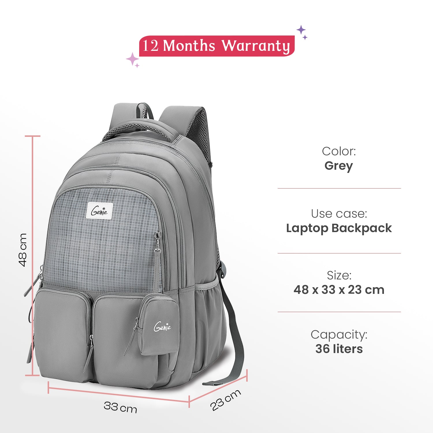 Ariana 36L Grey Laptop Backpack