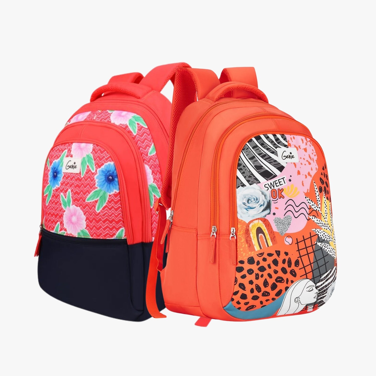 Genie School Backpack and Laptop Backpack Combo