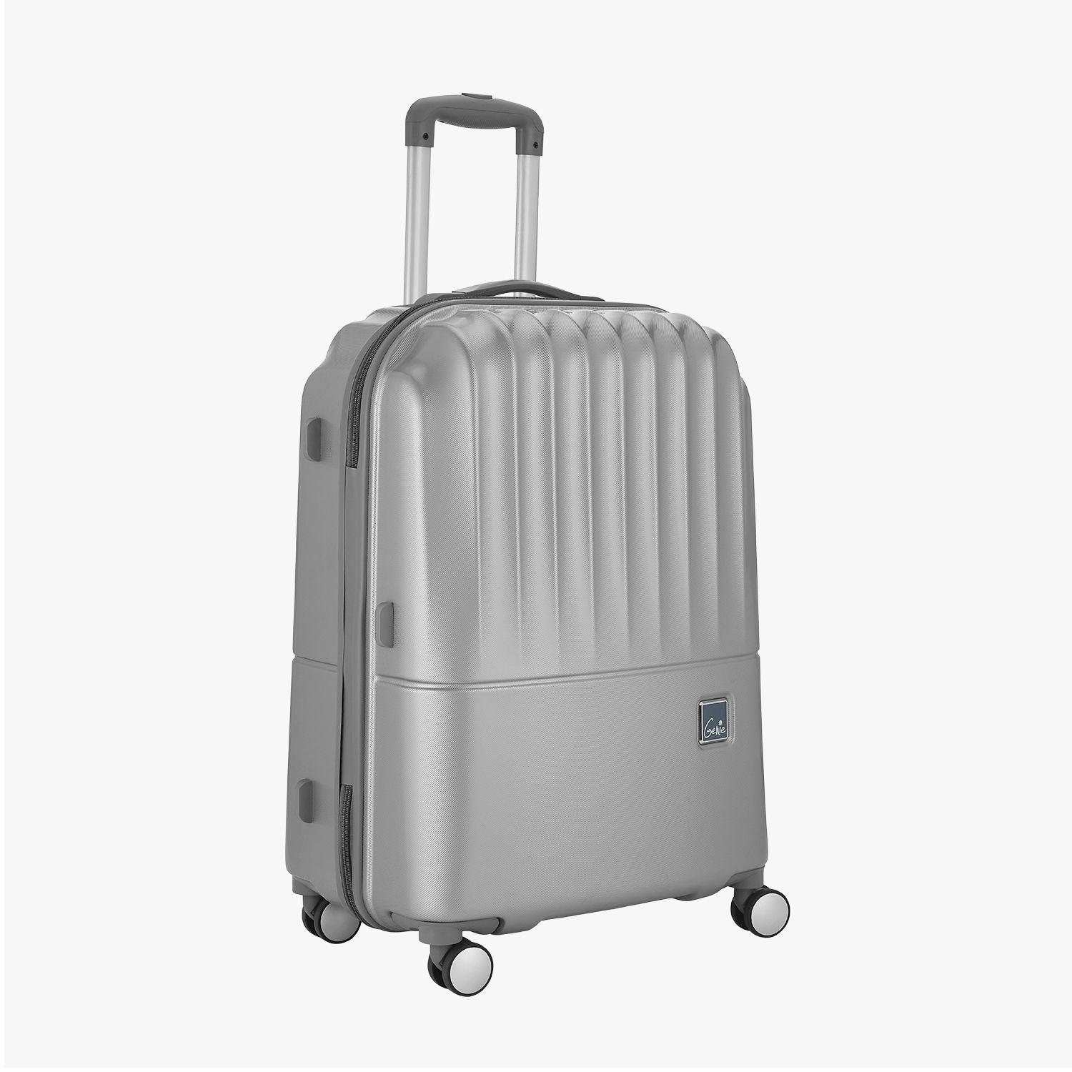 Palm Hard Luggage- Silver