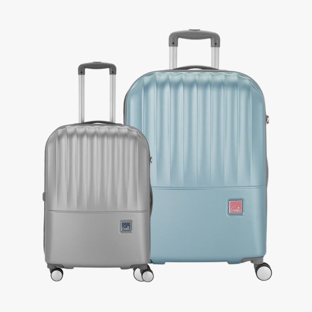 Palm Small and Large Hard Luggage Combo