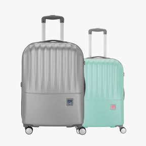 Palm Small and Medium Hard Luggage Combo