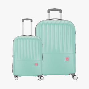 Palm Small and Large Hard Luggage Combo